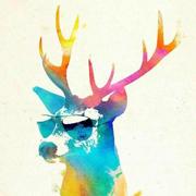 HungPunCHAN的个人资料头像