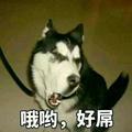 我的名字这么长就问你流不流逼嘛头像