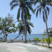 秋枫817的个人资料头像