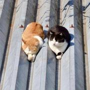 李天慈的个人资料头像