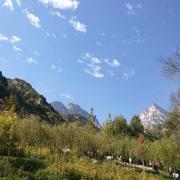 刘龙20的个人资料头像