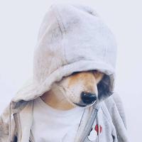 ᝰꫛꫀꪝ⁵²º619头像