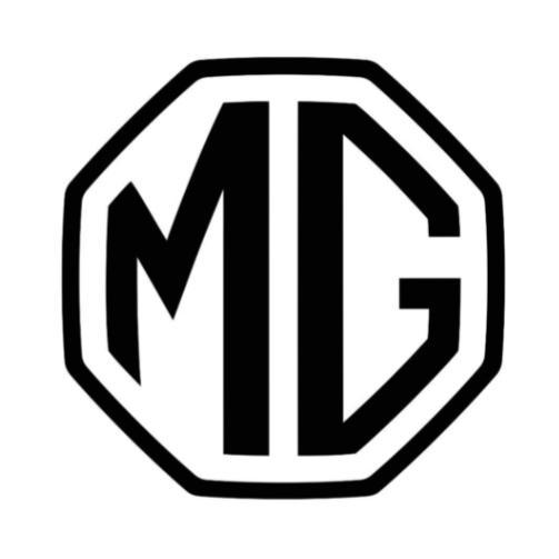 嘉兴易达名爵潮选店头像