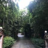 ky车车头像