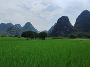 mrurl的个人资料头像