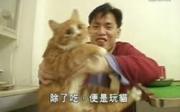 介歪的个人资料头像