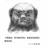 努力的阿Q头像