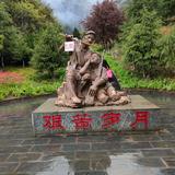 用户6656392545139头像