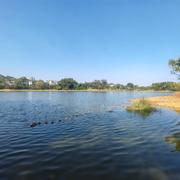 GuanfaLee的个人资料头像