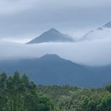 面包在远方头像