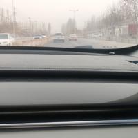 随性自由的山雀yDg头像