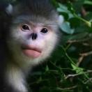 章林的个人资料头像