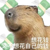 假的兔美头像