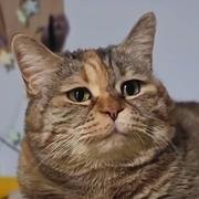 用户4958272686561的个人资料头像