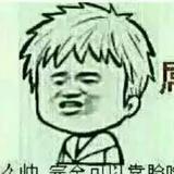 养海豚嘅人头像