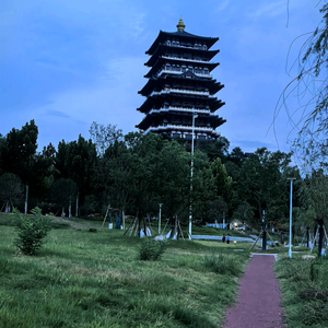 湖口叶哥直播店头像