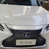 用户8690492325977头像