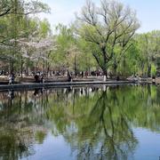 用户430351025068的个人资料头像