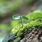 非洲_0的个人资料头像