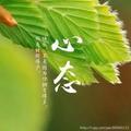 6六902头像