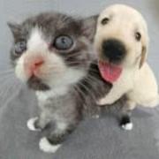 Jason0307的个人资料头像