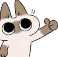 黑猫苏大西头像
