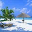 上帝也疯狂啊的个人资料头像