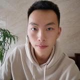 六头像