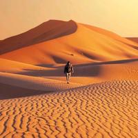 手机用户50034854491头像