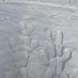 元气生活家2I3头像