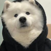 顾雨晨摆烂版头像