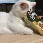 zll500的个人资料头像
