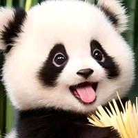 用户5914957022018头像