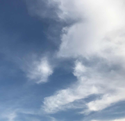 乔zhiYang的个人资料头像