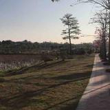 大陆老司机头像