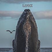 籽蓝地的个人资料头像