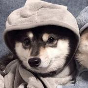 tomtom的个人资料头像