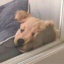 胜本尊102243的个人资料头像