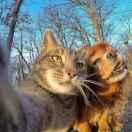 猫哥同志的个人资料头像