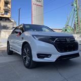 快乐的花猫OXQ头像