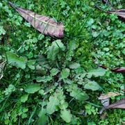 越来越胖的个人资料头像