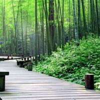 没办法不知道吃什么头像