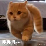 用户7919005946437头像