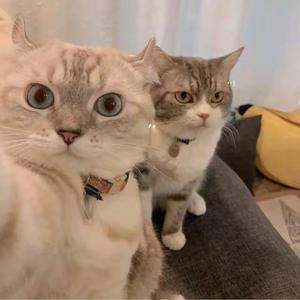 用户2375538434911头像