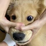 绮峯头像