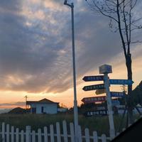 奋发有为扑克tyY头像