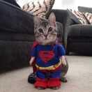 老铁不想说话41132的个人资料头像