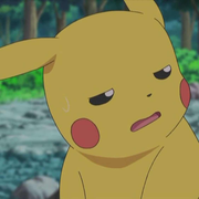 机智小皮皮的个人资料头像