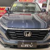 用户9087731785492头像