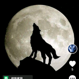 冬瓜憨憨头像